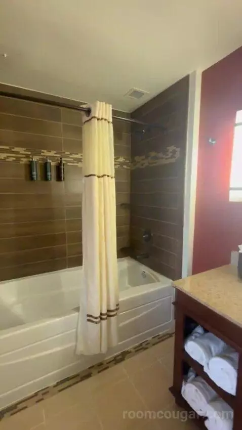 Double Room with Two Double Beds bathroom picture #4