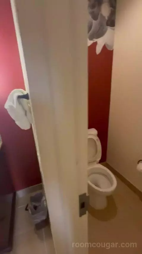 Double Room with Two Double Beds bathroom picture #10
