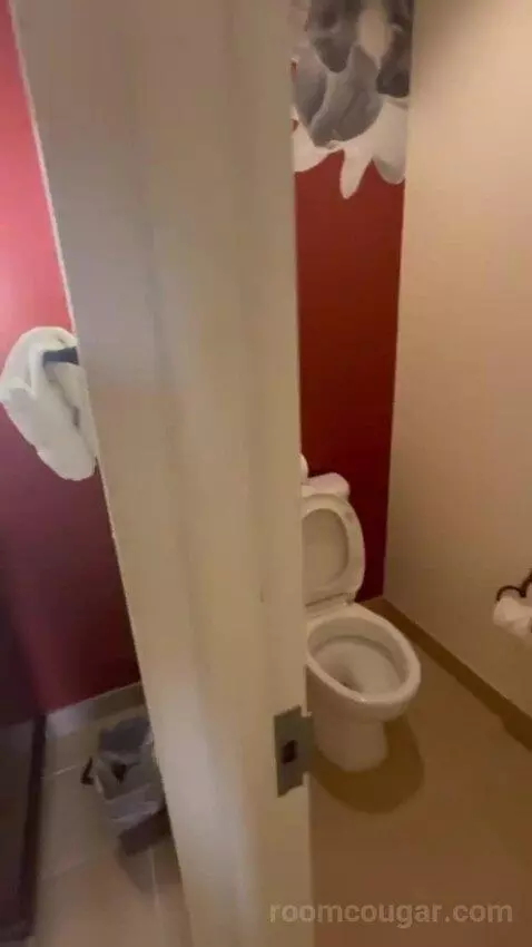 Double Room with Two Double Beds bathroom picture #11