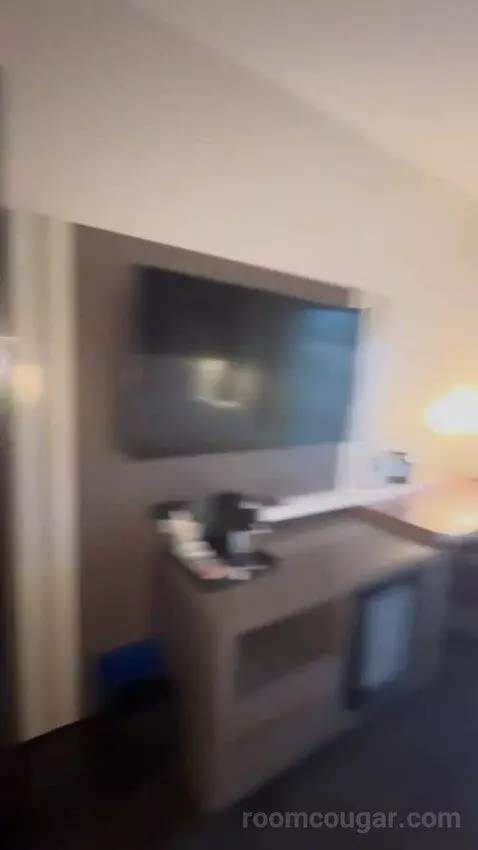 King Room picture #15