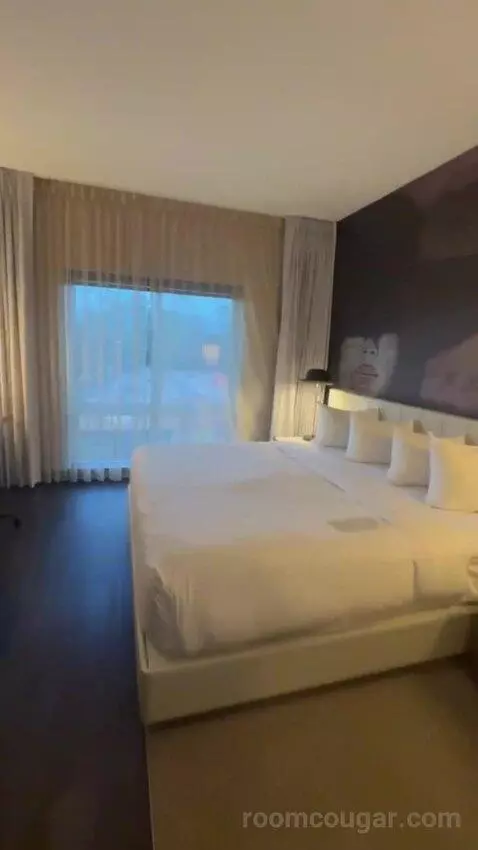 King Room picture #16