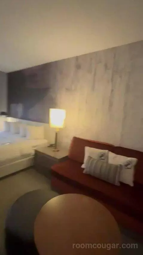 King Room picture #17