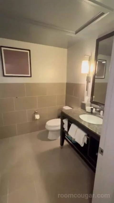 King Room bathroom picture #3