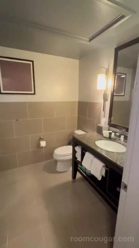 King Room picture #20