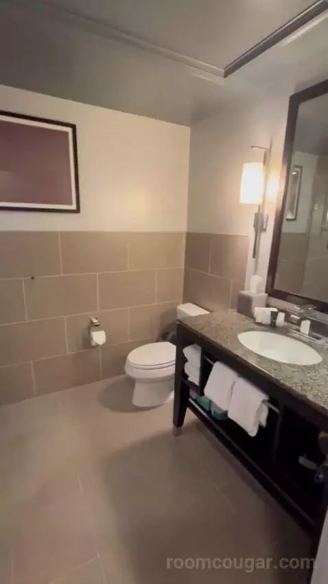 King Room bathroom picture #5