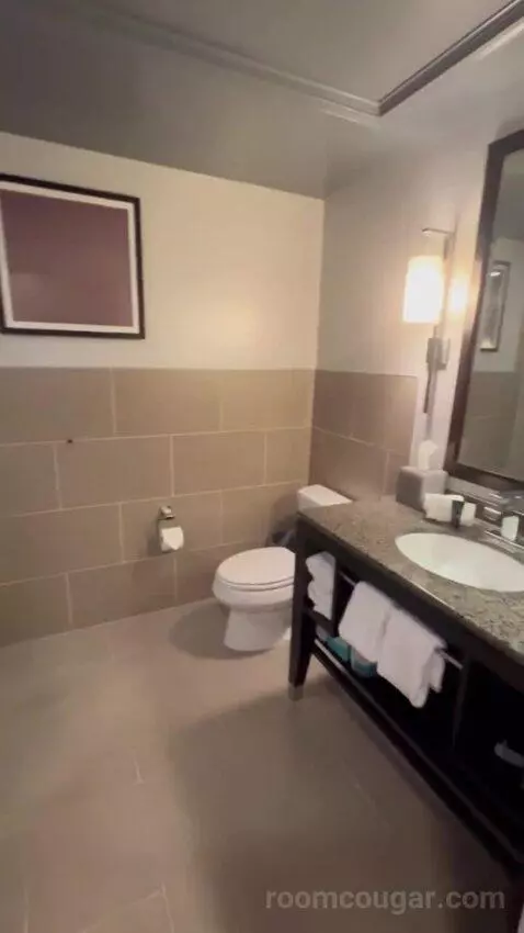King Room bathroom picture #6