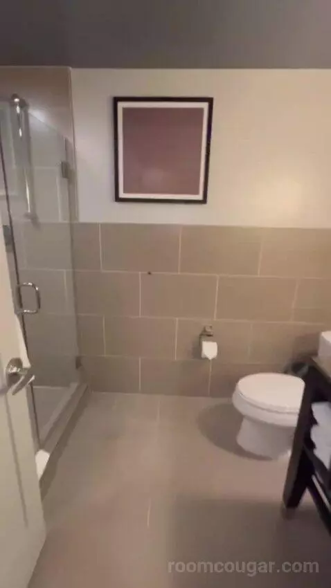 King Room bathroom picture #7