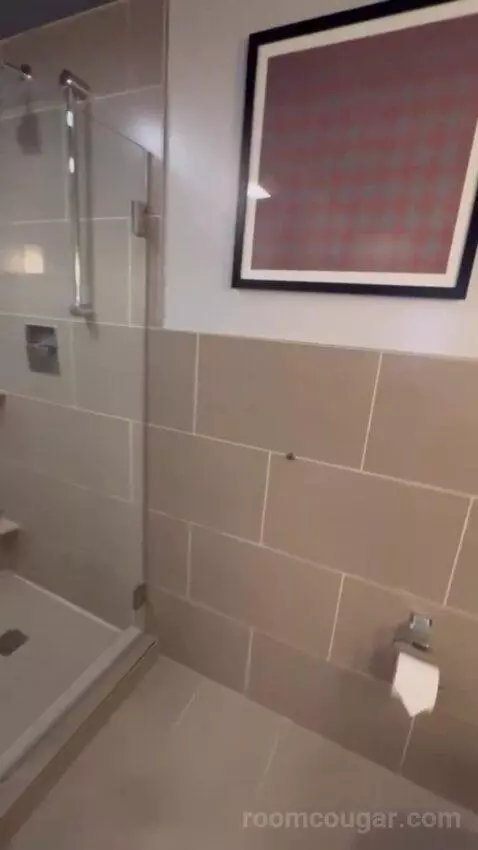 King Room bathroom picture #10