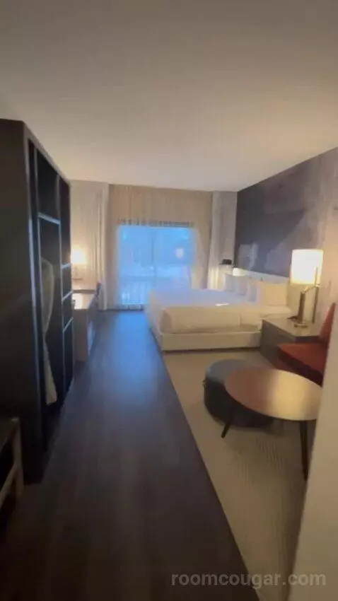 King Room picture #5