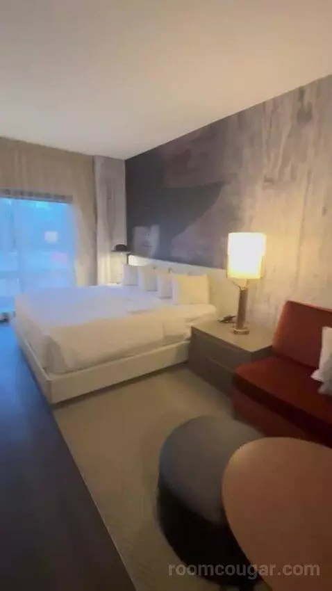 King Room picture #7
