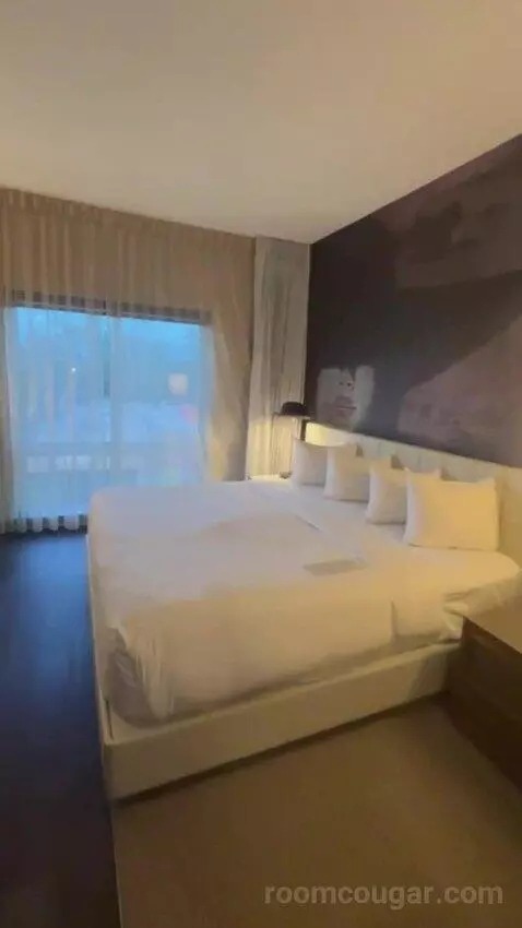 King Room picture #8