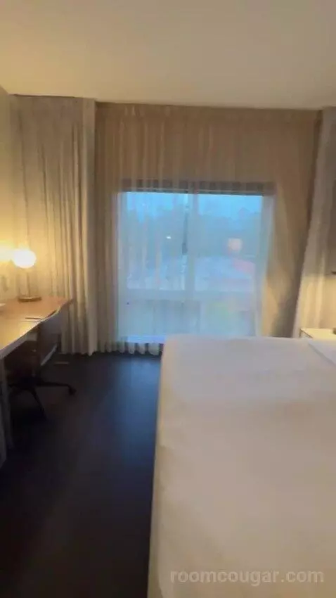 King Room picture #9