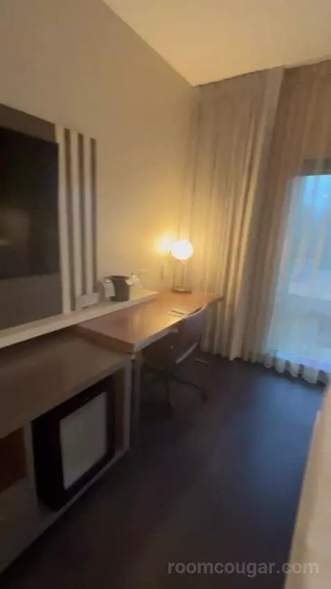 King Room picture #10