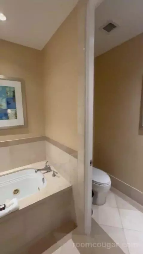 Riverview Room bathroom picture #7
