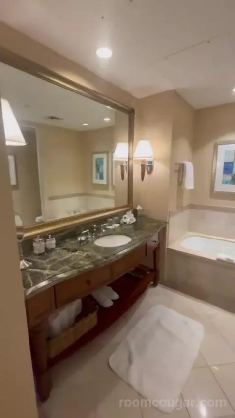 Riverview Room bathroom picture #2