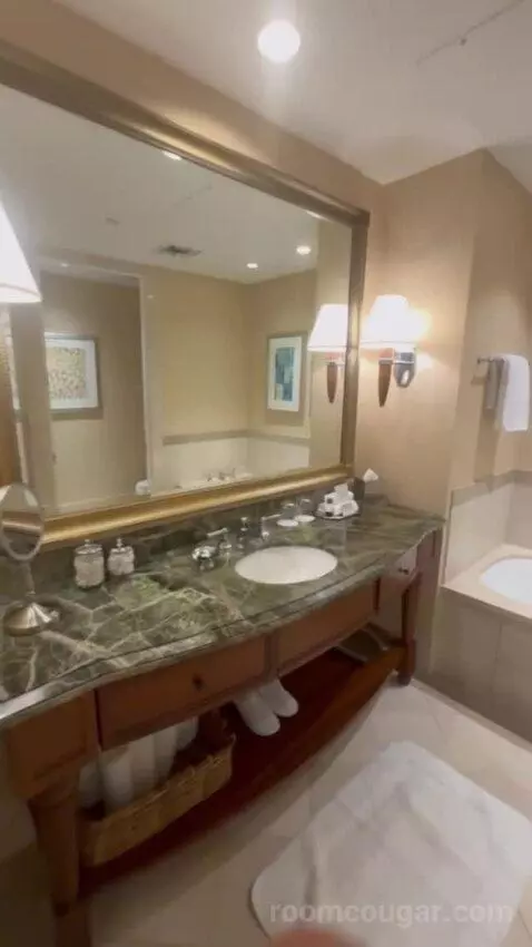 Riverview Room bathroom picture #3