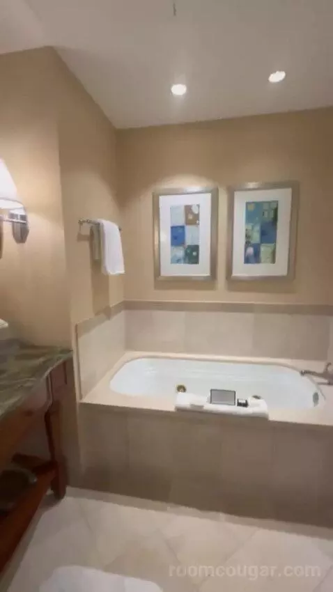Riverview Room bathroom picture #6