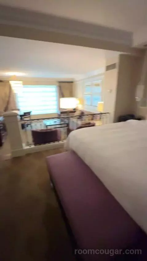 Venetian Luxury King Suite bed picture #10