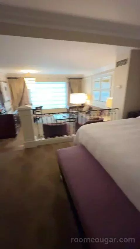 Venetian Luxury King Suite bed picture #11