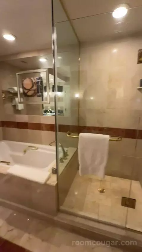 Venetian Luxury King Suite bathroom picture #5