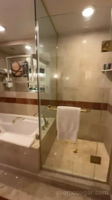 Venetian Luxury King Suite bathroom picture #6