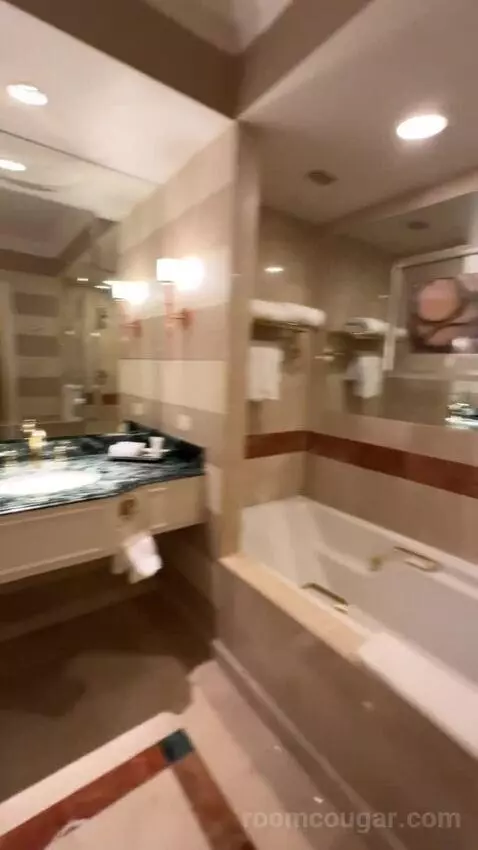 Venetian Luxury King Suite bathroom picture #7