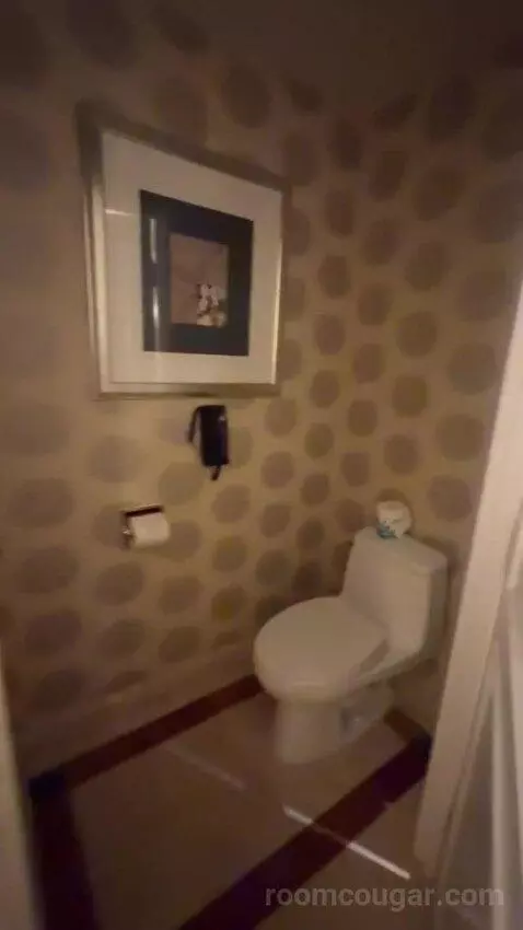 Venetian Luxury King Suite bathroom picture #9