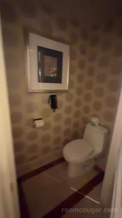 Venetian Luxury King Suite bathroom picture #10