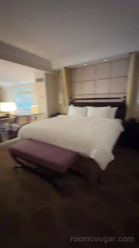 Venetian Luxury King Suite bed picture #3