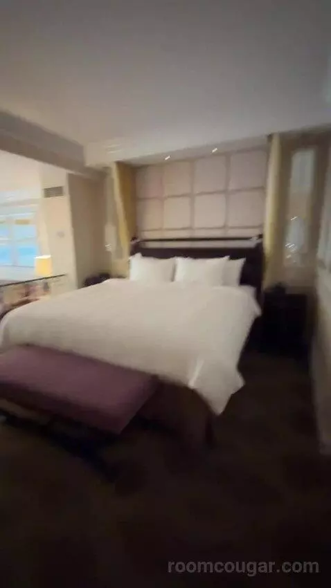 Venetian Luxury King Suite bed picture #4