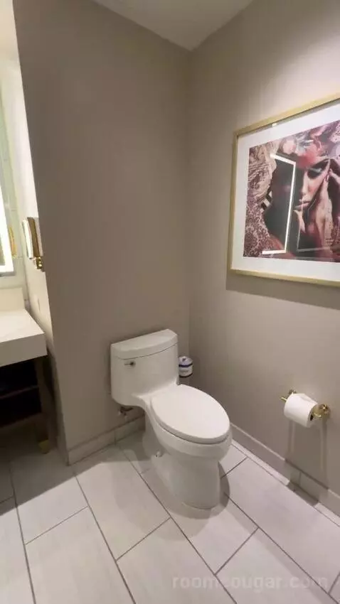 Deluxe King Room with City View bathroom picture #4