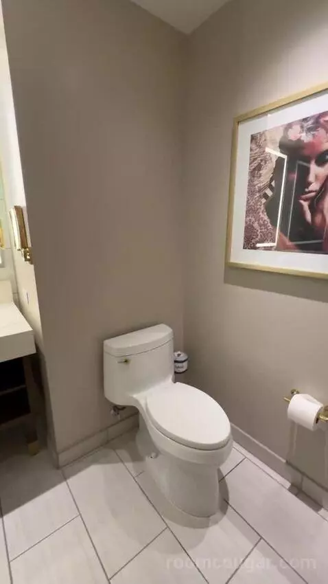 Deluxe King Room with City View bathroom picture #6
