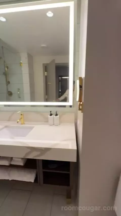 Deluxe King Room with City View bathroom picture #7