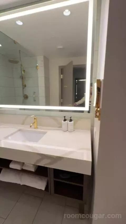 Deluxe King Room with City View bathroom picture #8