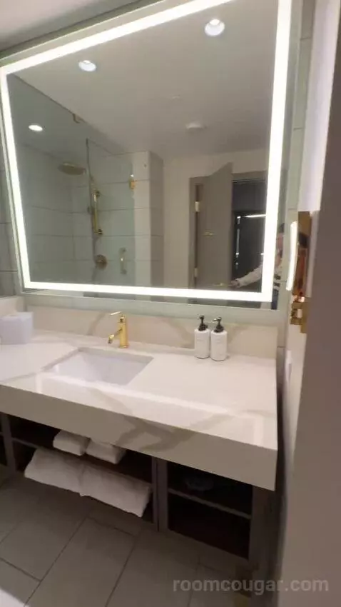 Deluxe King Room with City View bathroom picture #9