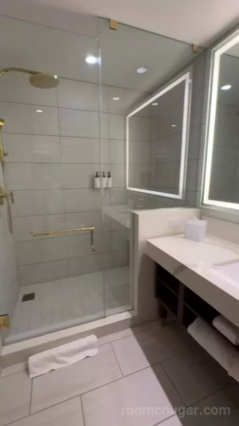 Deluxe King Room with City View bathroom picture #10