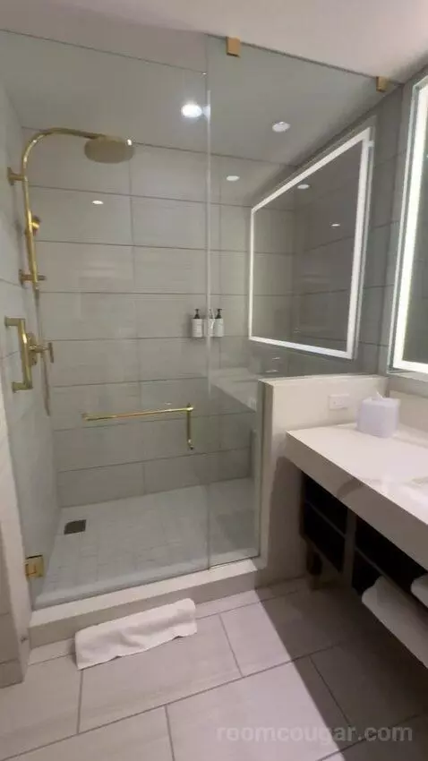 Deluxe King Room with City View bathroom picture #11