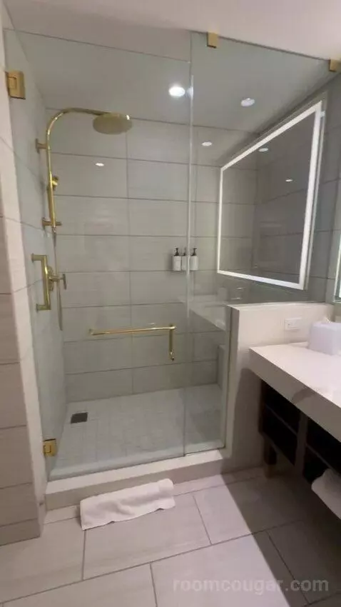 Deluxe King Room with City View bathroom picture #12