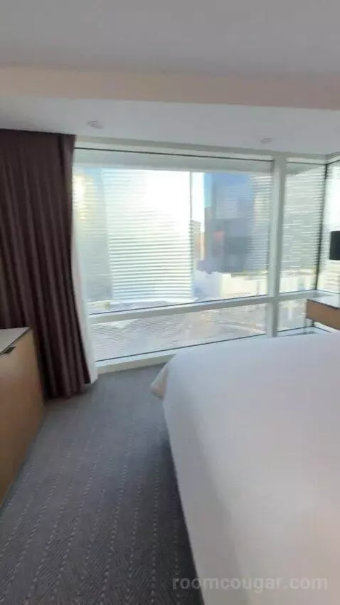 Corner Suite bed picture #9