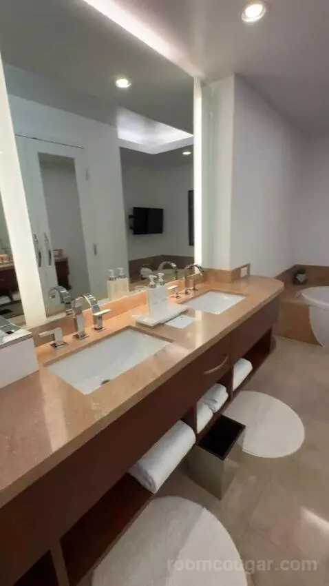 Corner Suite bathroom picture #5