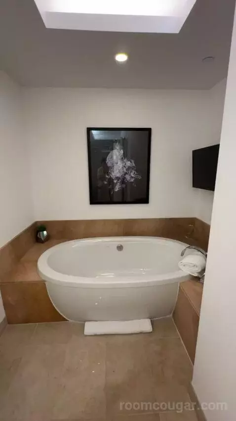 Corner Suite bathroom picture #7