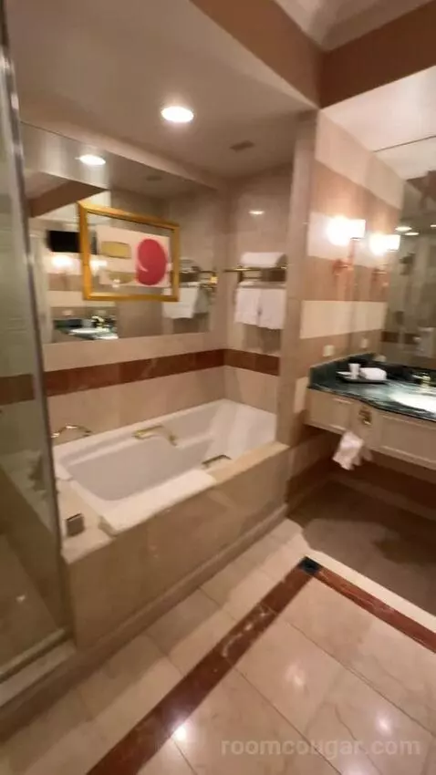 Venetian Luxury Two Queen Suite bathroom picture #5