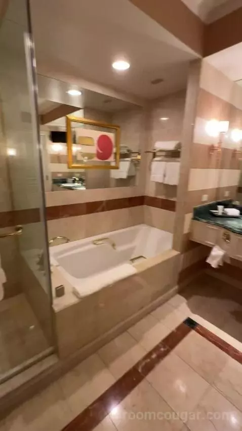 Venetian Luxury Two Queen Suite bathroom picture #6