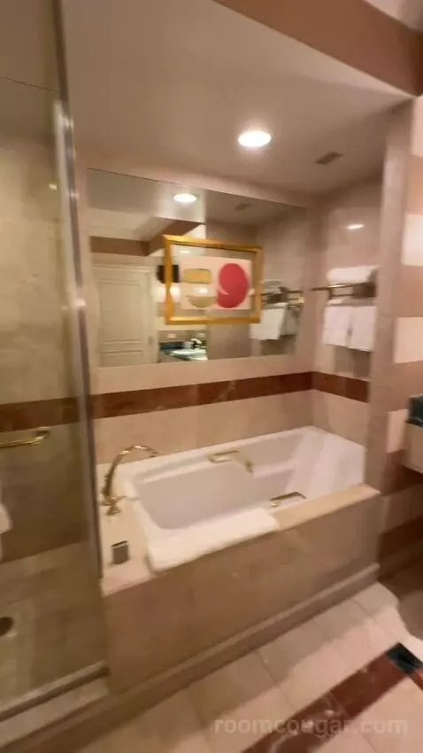 Venetian Luxury Two Queen Suite bathroom picture #7