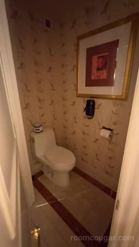 Venetian Luxury Two Queen Suite bathroom picture #9