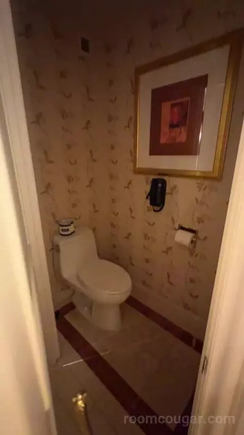Venetian Luxury Two Queen Suite bathroom picture #10