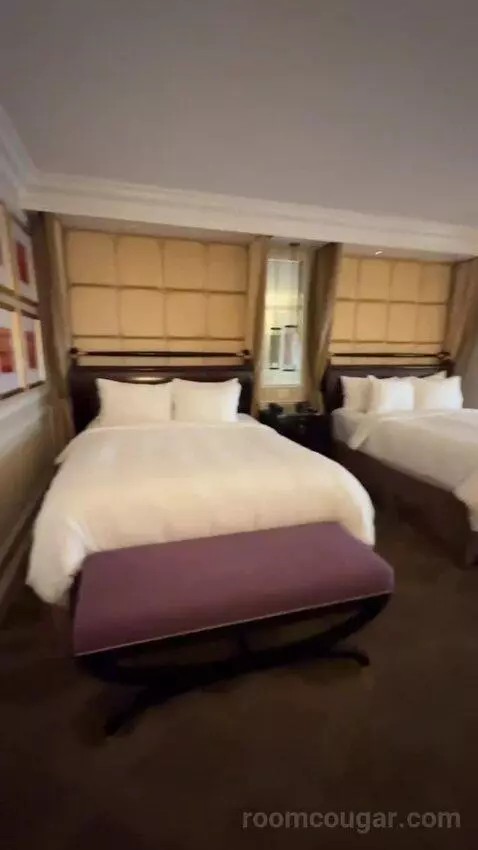 Venetian Luxury Two Queen Suite bed picture #1