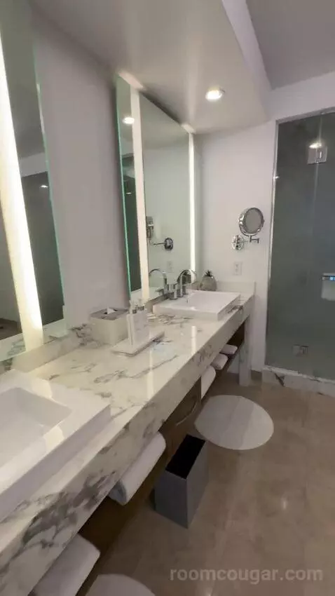 Executive Hospitality Tower Suite bathroom picture #2