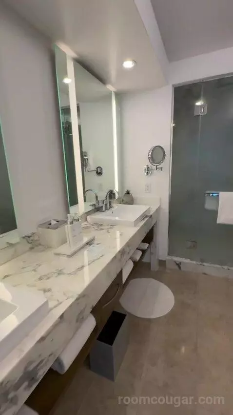 Executive Hospitality Tower Suite bathroom picture #3