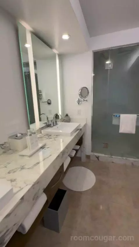 Executive Hospitality Tower Suite bathroom picture #4